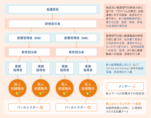 「研修責任者」「教育担当者」「実地指導者」の定義の図